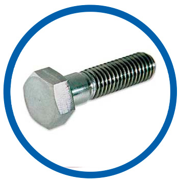 DIN 1.4948 Hex Cap Screw DIN 1.4948 Hex Cap Screw