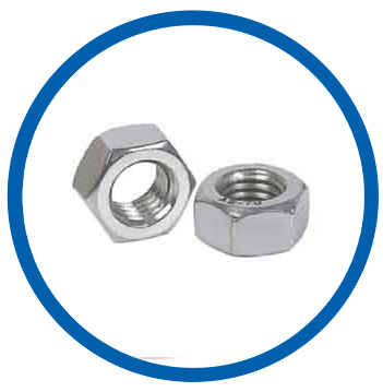 SUS 304 Hex Head Nuts SUS 304 Hex Head Nuts