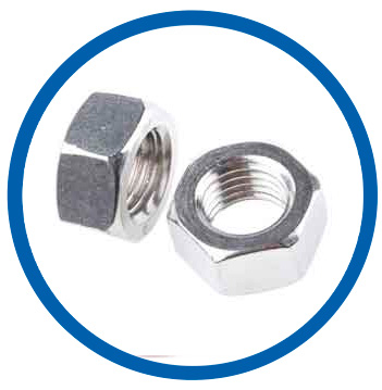 SS 304L Hex Nuts SS 304L Hex Nuts