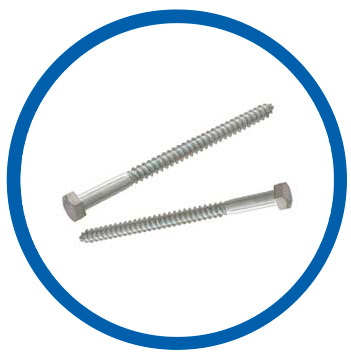 AISI 304L Lag Bolt AISI 304L Lag Bolt
