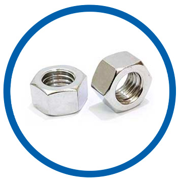 Stainless Steel 304L Nuts Stainless Steel 304L Nuts