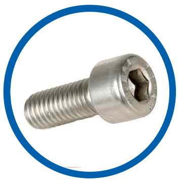 304 Stainless Steel Socket Head Screws 304 Stainless Steel Socket Head Screws