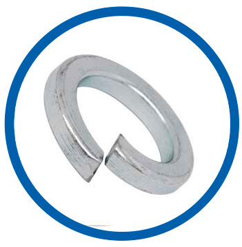 304H SS Spring Washer 304H SS Spring Washer