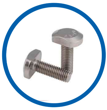 WNR 1.4301 T Bolts WNR 1.4301 T Bolts
